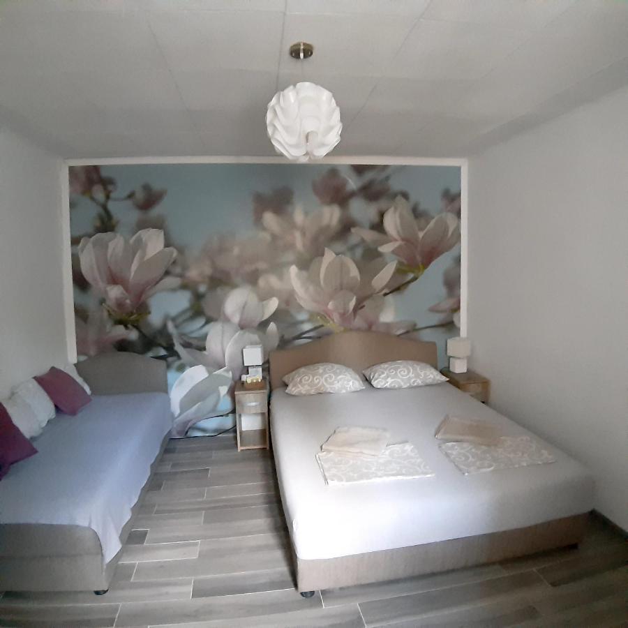 Vicky Apartments Kotor Exteriér fotografie